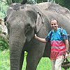 elephant_chiangmai (106)